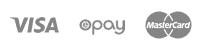 pay logo light